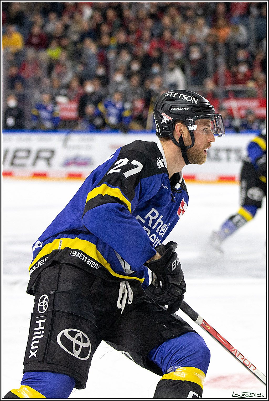 PENNY DEL; Koelner Haie- Fishtown Pinguins Bremerhaven; Koeln, 23.11.2021